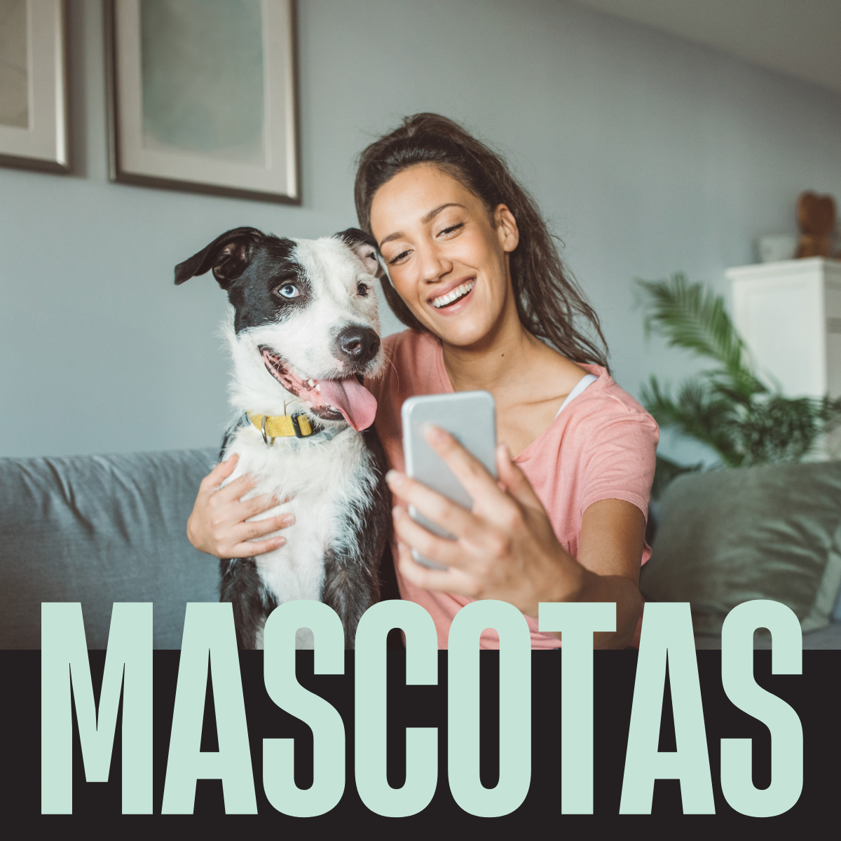 Mascotas